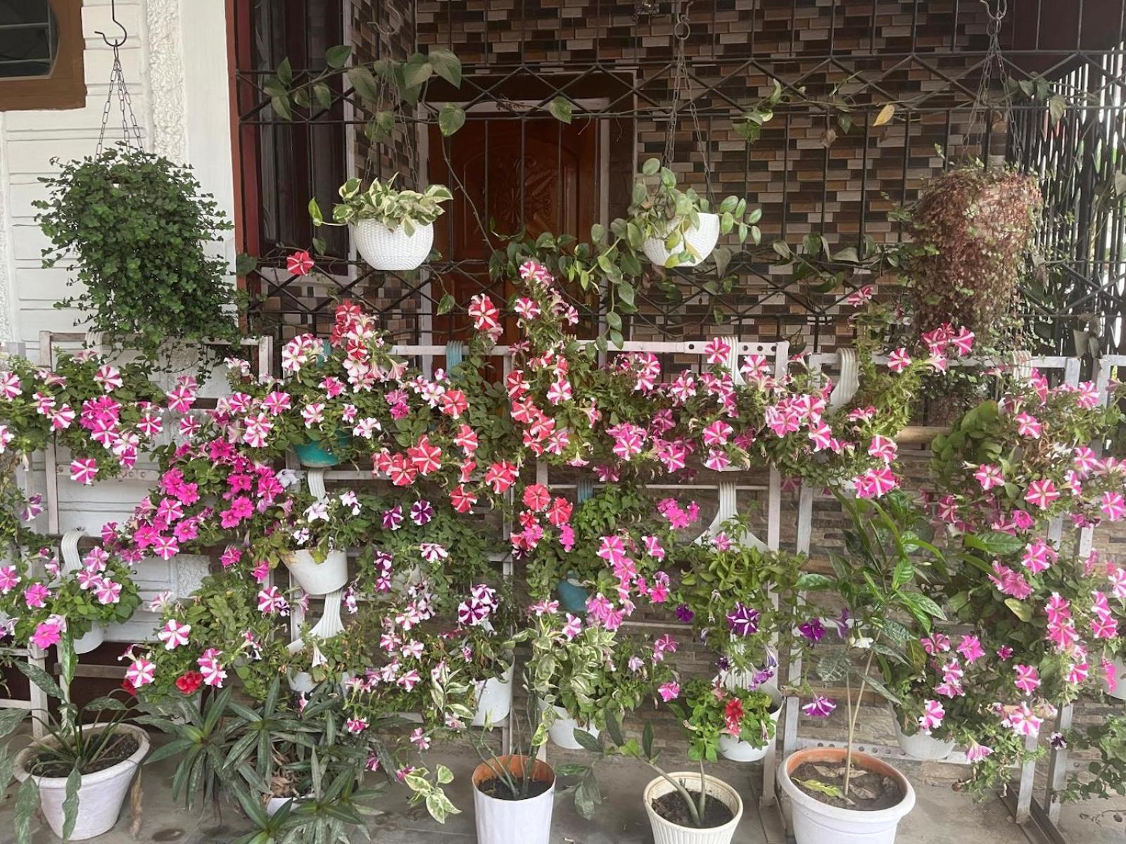 Amazing Homestay Guwahati Exterior foto